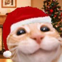 33 emote