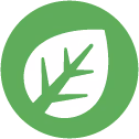 GrassType emote