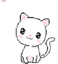 CatNomsCherryBlossom emote