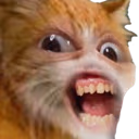 CatRicky emote