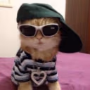 jit emote