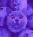 poisonberry emote
