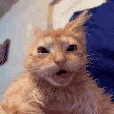 auh emote