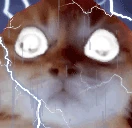NOW emote