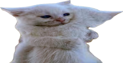 Hug emote