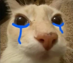 dosesad emote