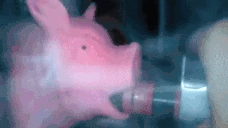 svinsmokes emote