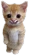 haha emote