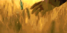 TouchSomeWheat emote