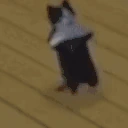 OHEMGODNOWAYCATBREAKINGITDOWNTHATSCRAZY emote