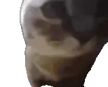 gettingjiggywithit emote