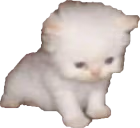 bert emote