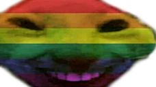 xddPride emote