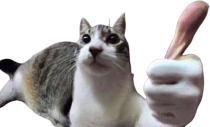NICE emote
