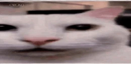 Rubychan emote