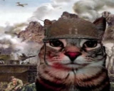 War emote