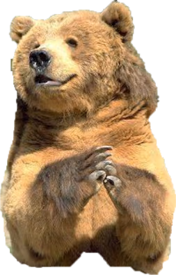 bear emote