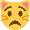 cat_supershocked emote