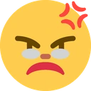 madgrandma emote