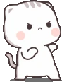 Fight emote