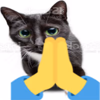 praycat emote
