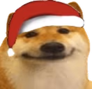 DogO emote