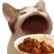 Abopdo emote