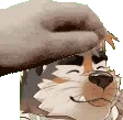 strio_pet emote