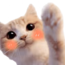CatHi emote