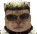 WHISKERS emoji