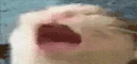 AAAAAAAAAAAA emote