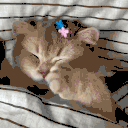SleepyCat animated emote