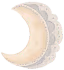 LaceMoon emote