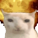 catWHAT emoji