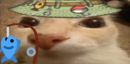 otagFish emote