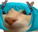 MikuOtag emote