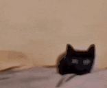 hewwo animated emote
