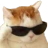 cool_cat emote