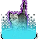 rare_cat emote