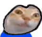 ermgi emote