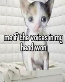 the_voices_in_my_head_won emoji