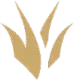 orman emote