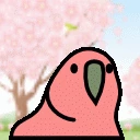 hanamiParrot emote
