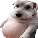 chud emote