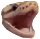 Snekhapi emote