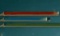GREEDY emote