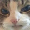 CE_MAD emote
