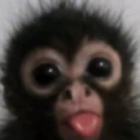 owu emote