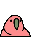 bouncingParrot emote