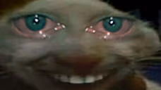 sdd emote
